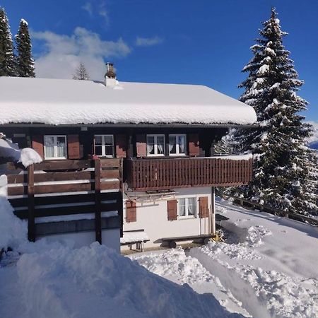 Chalet Grazia Риедералп Екстериор снимка