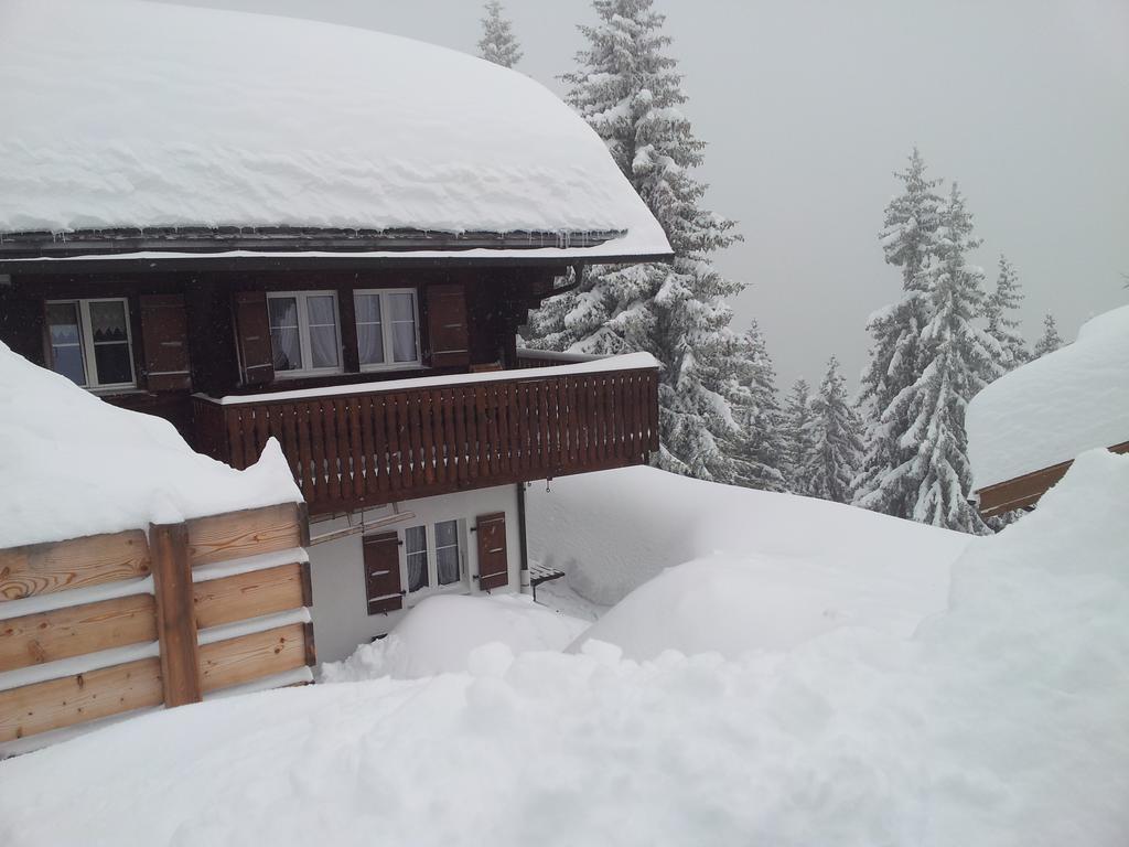 Chalet Grazia Риедералп Екстериор снимка
