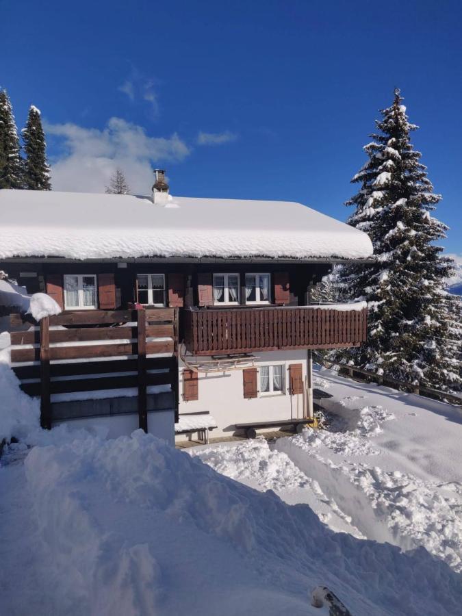 Chalet Grazia Риедералп Екстериор снимка